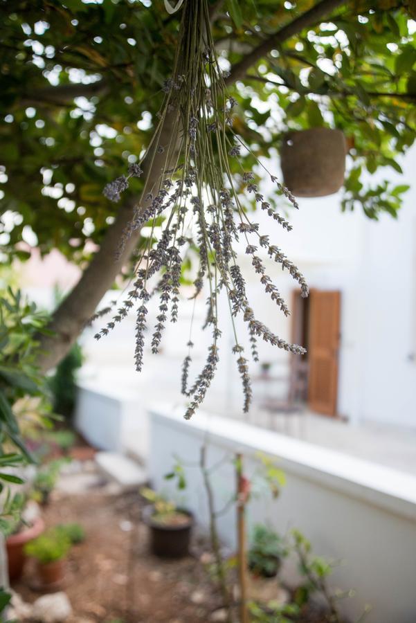Giardino Segreto Bed & Breakfast Putignano Bagian luar foto