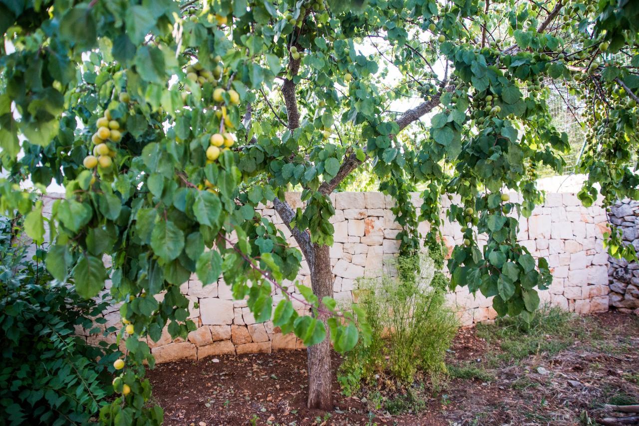 Giardino Segreto Bed & Breakfast Putignano Bagian luar foto