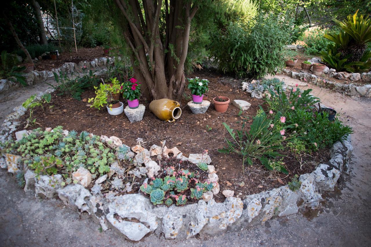Giardino Segreto Bed & Breakfast Putignano Bagian luar foto