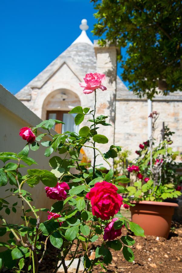 Giardino Segreto Bed & Breakfast Putignano Bagian luar foto